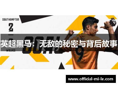 英超黑马:无敌的秘密与背后故事 英超黑马:无敌的秘密与背后故事