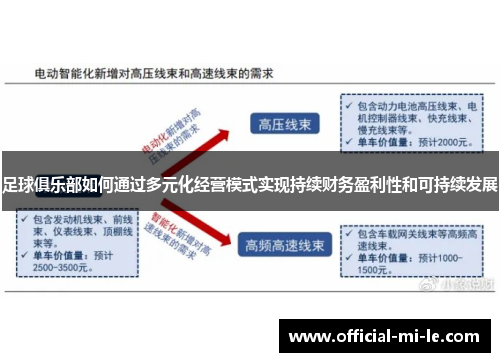 足球俱乐部如何通过多元化经营模式实现持续财务盈利性和可持续发展