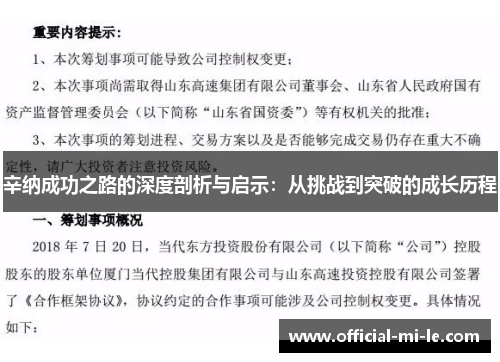 辛纳成功之路的深度剖析与启示：从挑战到突破的成长历程