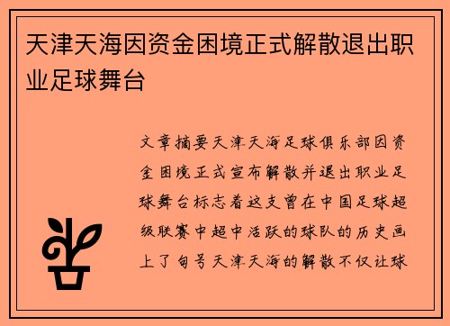 天津天海因资金困境正式解散退出职业足球舞台
